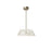 Abra Lighting Talon 1 Light Clear Glass/LED Claw Pendant, Nickel
