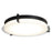 Abra Lighting Matrix 1 Light 14" Flat Round Flushmount, Black