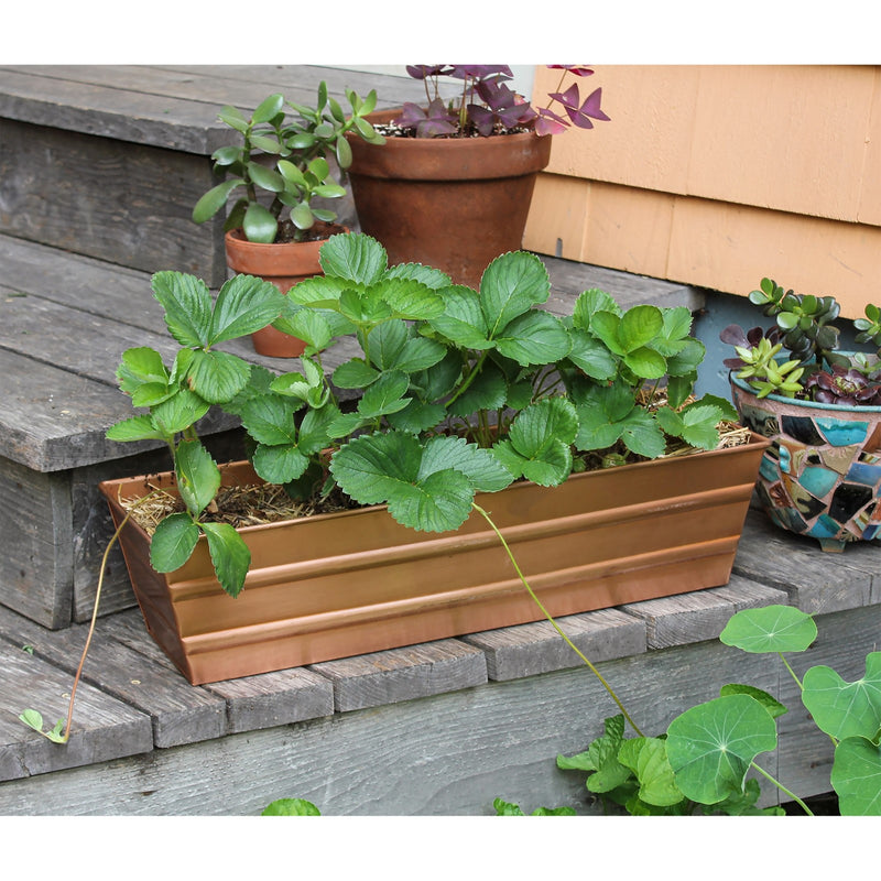 Achla Bloom Box 22in Small Garden Growing Kit | Copper Plated Galvanized Steel | Deck, Porch & Balcony Container Garden | Model C-08C-GK