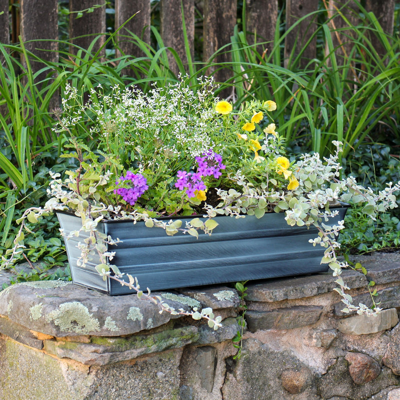 Achla Bloom Box Small Nantucket Blue Galvanized Steel Planter | Deck & Balcony Garden Kit | 22 x 6 x 5 in | Model C-08NB-GK