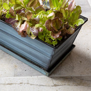 Achla Small Nantucket Blue Flower Box with Tray | Galvanized Steel | Deck, Balcony & Indoor Container Garden | 22 x 6 x 5 in | Model C-08NB-T