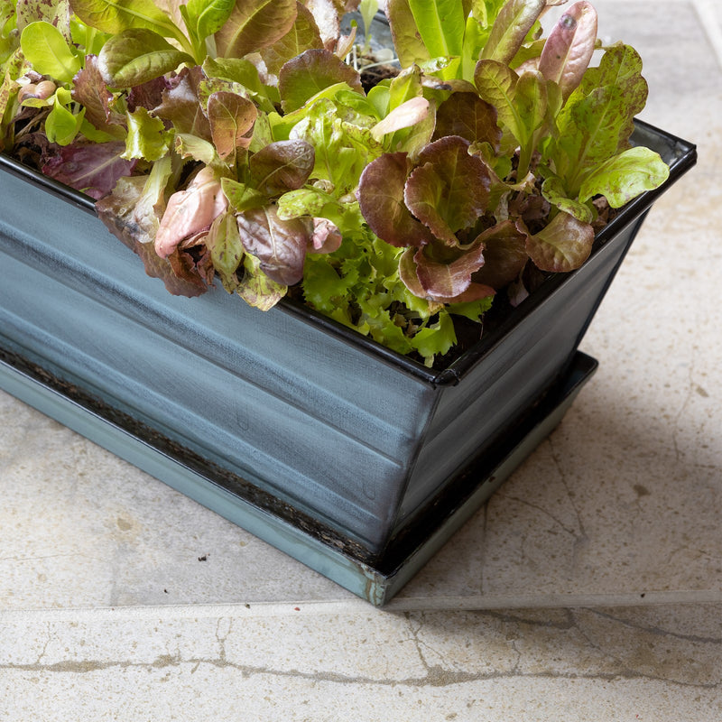 Achla Small Nantucket Blue Flower Box with Tray | Galvanized Steel Patina Finish | Deck, Balcony & Indoor Container Garden | Model C-08NB-T
