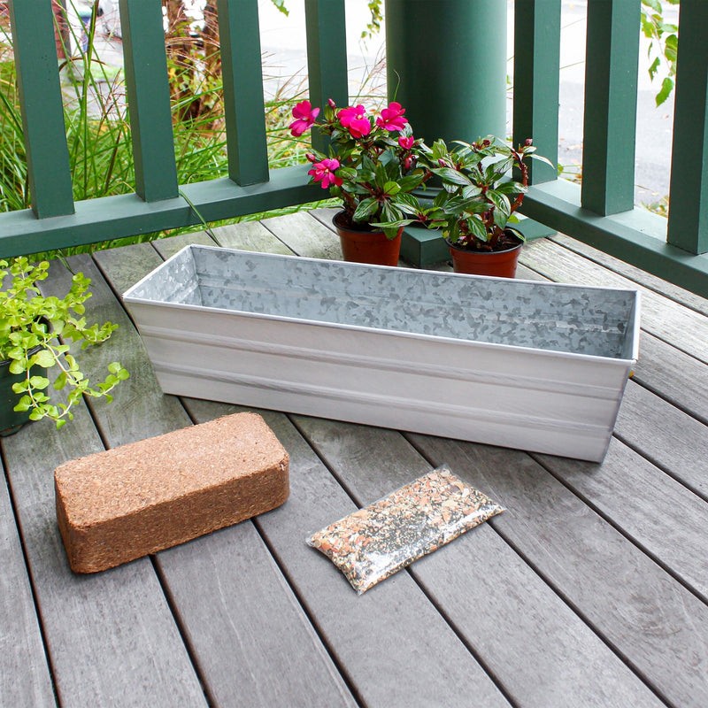 Achla Bloom Box Garden Growing Kit Small Cape Cod White | Galvanized Steel White Patina | Deck & Balcony Container Garden | Model C-08W-GK