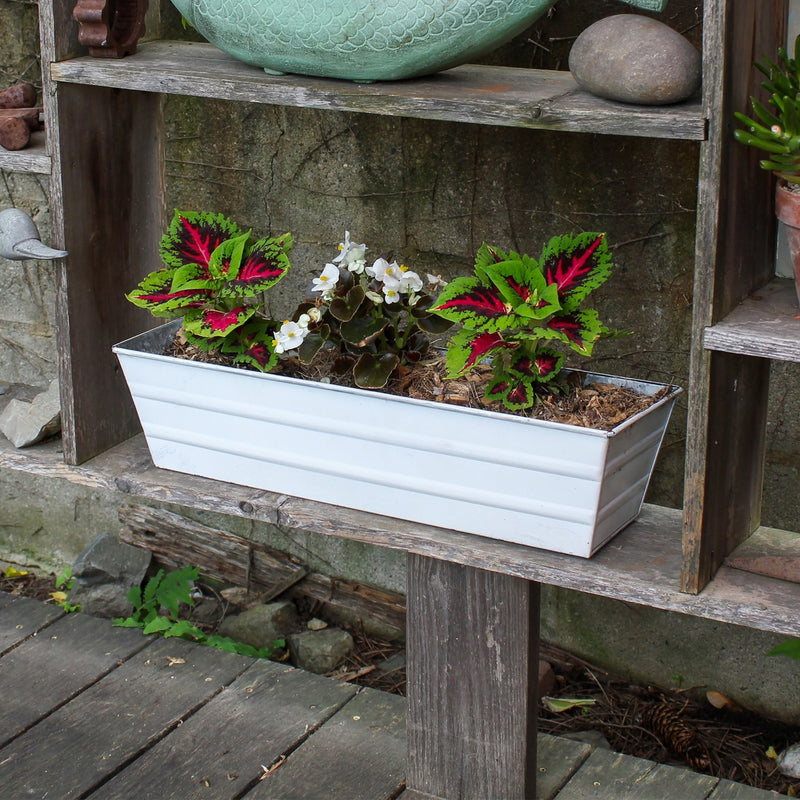 Achla Bloom Box Garden Growing Kit Small Cape Cod White | Galvanized Steel White Patina | Deck & Balcony Container Garden | Model C-08W-GK
