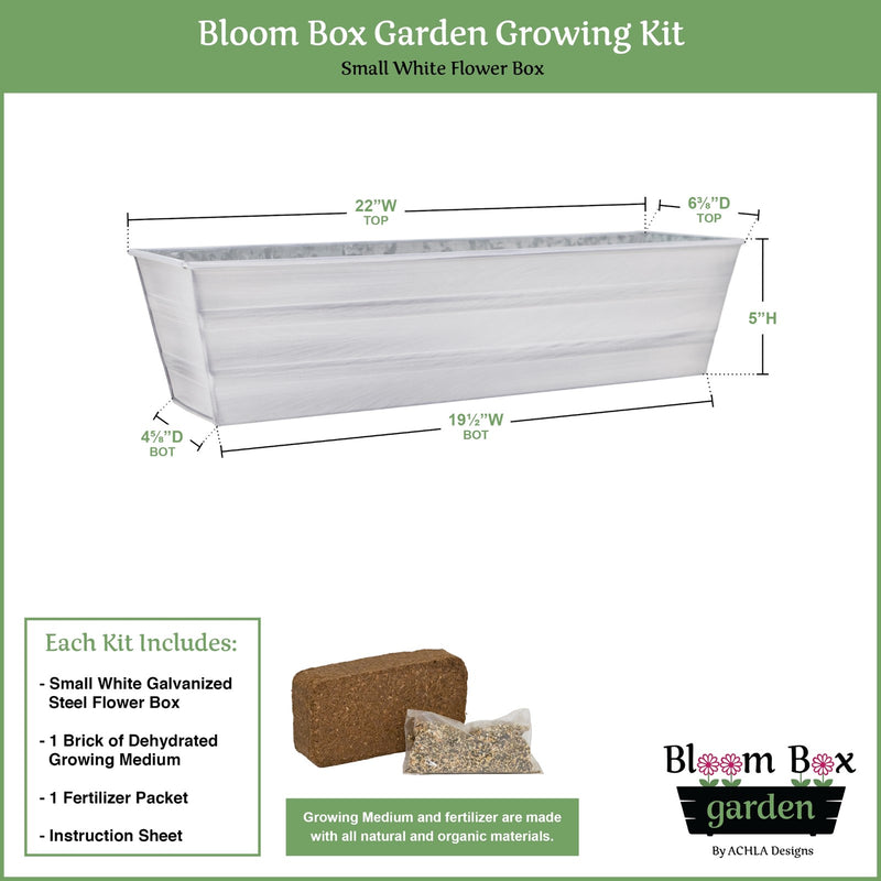 Achla Bloom Box Garden Growing Kit Small Cape Cod White | Galvanized Steel White Patina | Deck & Balcony Container Garden | Model C-08W-GK