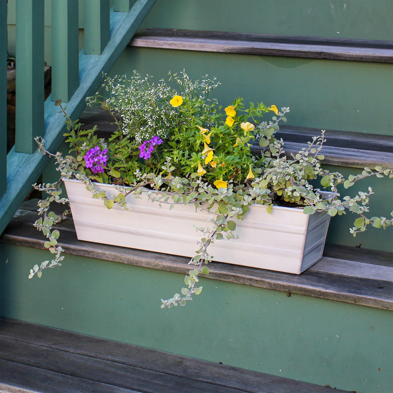 Achla Bloom Box Garden Growing Kit Small Cape Cod White | Galvanized Steel White Patina | Deck & Balcony Container Garden | Model C-08W-GK