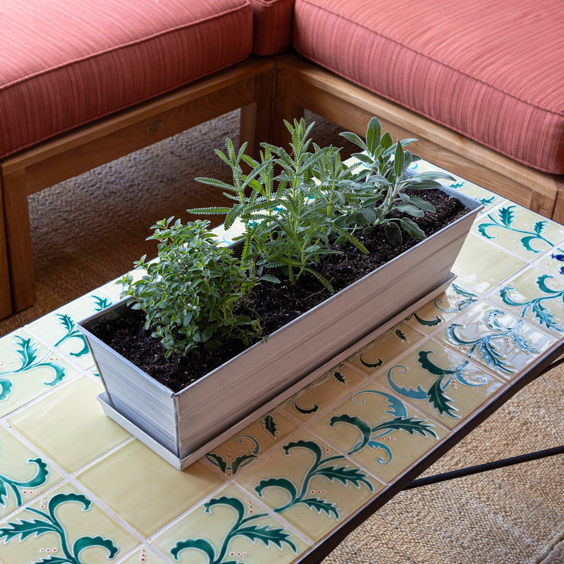 Achla Small White Flower Box with Drip Tray | Galvanized Steel Planter | Balcony & Deck Container Garden | 22 x 6 x 5 in | Model C-08W-T