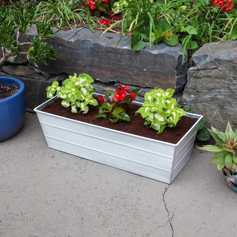 Achla Bloom Box Garden Growing Kit Medium White | Galvanized Steel Cape Cod White | Deck, Porch & Balcony Container Garden | Model C-20W-GK2