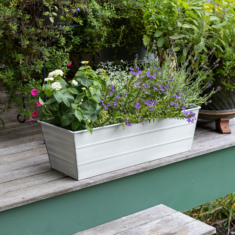 Achla Bloom Box Garden Growing Kit Medium White | Galvanized Steel Cape Cod White | Deck, Porch & Balcony Container Garden | Model C-20W-GK2