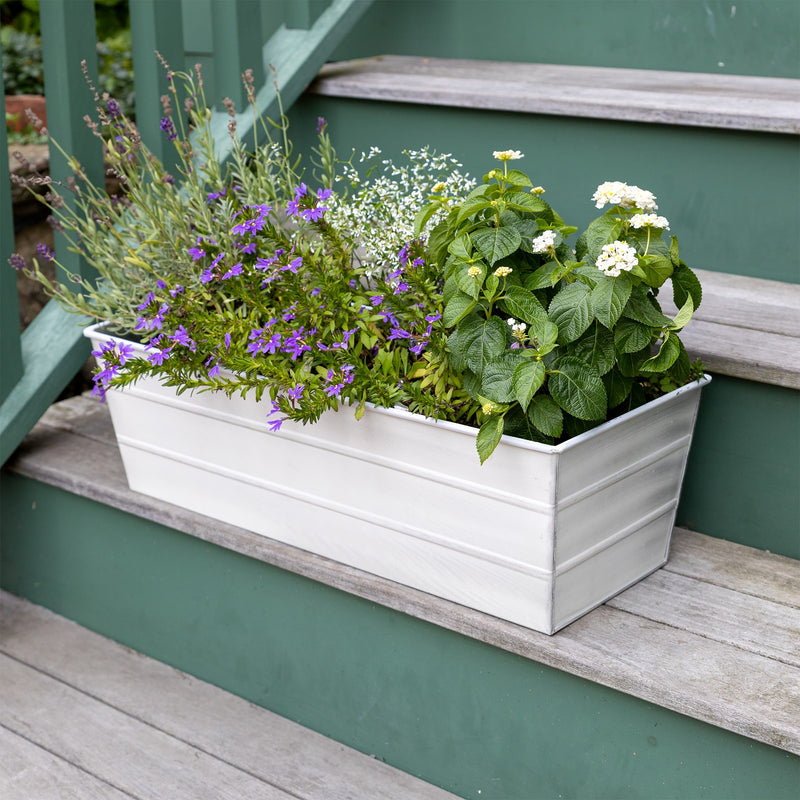 Achla Bloom Box Garden Growing Kit Medium White | Galvanized Steel Cape Cod White | Deck, Porch & Balcony Container Garden | Model C-20W-GK2