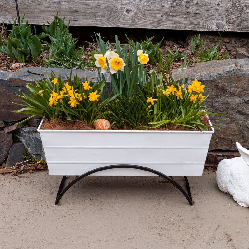 Achla Bloom Box Garden Growing Kit Medium White | Galvanized Steel and Wrought Iron | Deck & Balcony Container Garden | 24 x 9.5 x | Model C-20W-S-GK2