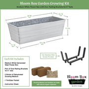 Achla Bloom Box Garden Growing Kit, Medium White | Galvanized Steel and Wrought Iron | Deck & Balcony Container Garden | 24 x 9.5 | Model C20W-K6-GK2