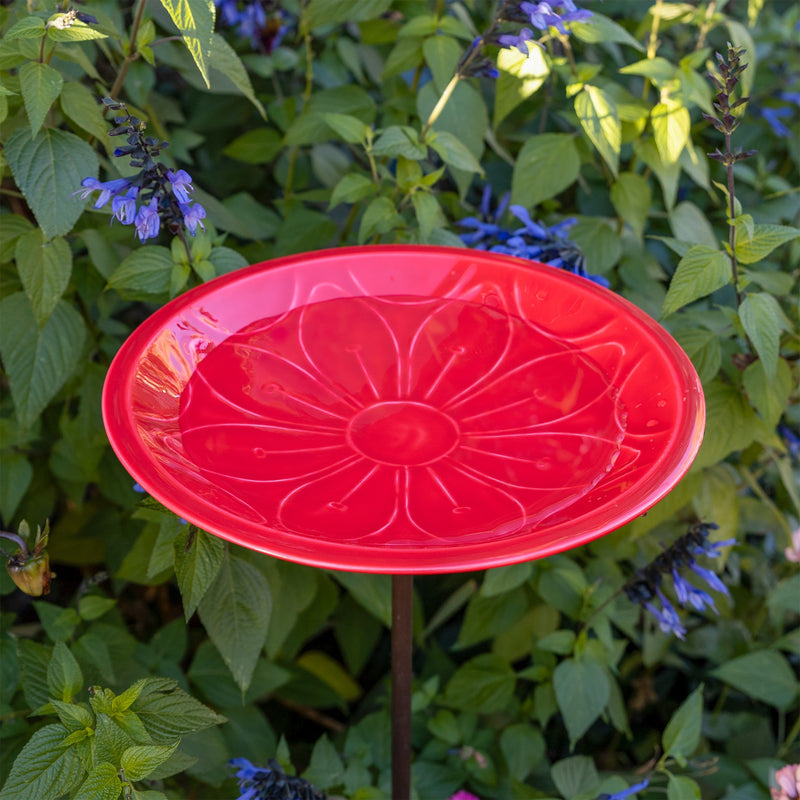 Achla Petunia Lolly 12in Birdbath with Stake | Petunia Pink Glass Enamel on Brass and Wrought Iron | Garden & Patio Bird Bath | Model EBB-02P-S
