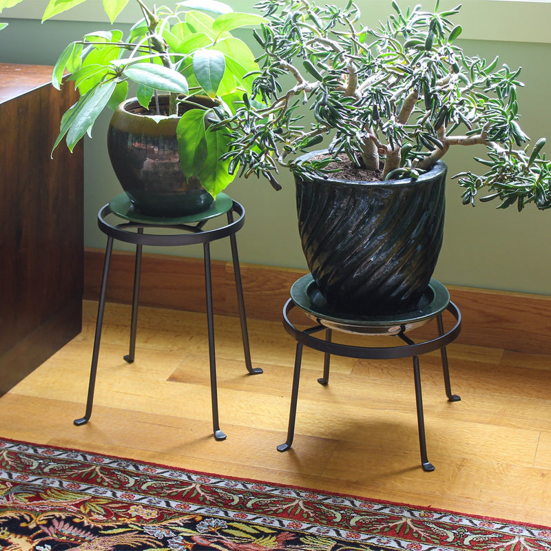 Achla Argyle Plant Stands Set of Two | Wrought Iron with Graphite Powdercoat | Living Room, Sunroom & Patio Plant Display | 8in and | Model FB-30-31
