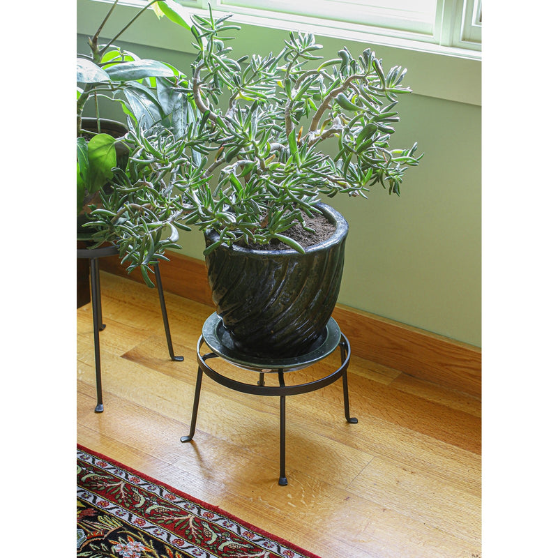 Achla Argyle Plant Stands Set of Two | Wrought Iron with Graphite Powdercoat | Living Room, Sunroom & Patio Plant Display | 8in and | Model FB-30-31