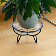 Achla Frida I Plant Stand | Mid-Century Wrought Iron Black | Indoor Tabletop or Floor Plant Display | 10 x 10 x 6.25 in | Model FC-06