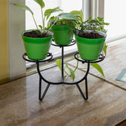 Achla Frida III Plant Stand | Mid-Century Wrought Iron Black | Tabletop Display for Small Pots | 11.5 x 11.5 x 7.75 in | Model FC-07