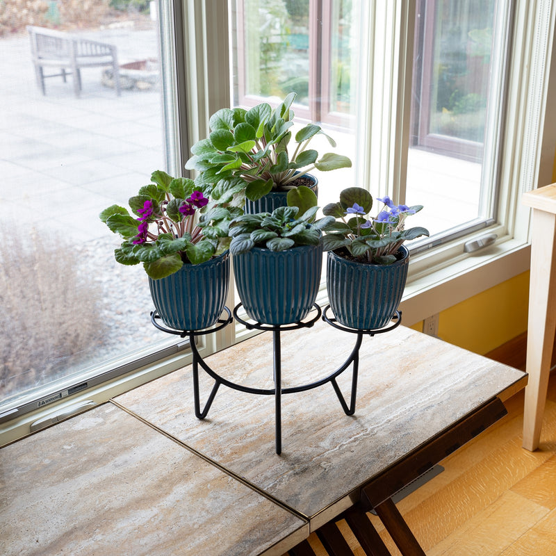 Achla Frida IV Plant Stand | Mid-Century Wrought Iron Black | Tabletop Display for Four Small Pots | 17.5 x 17.5 x 11.25 in | Model FC-08