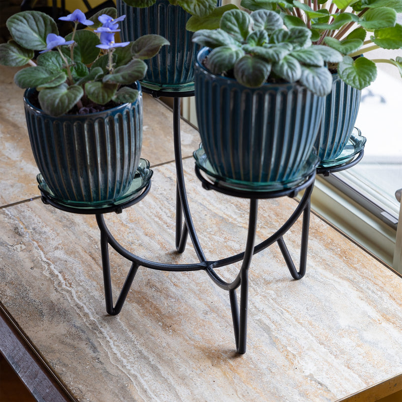 Achla Frida IV Plant Stand | Mid-Century Wrought Iron Black | Tabletop Display for Four Small Pots | 17.5 x 17.5 x 11.25 in | Model FC-08