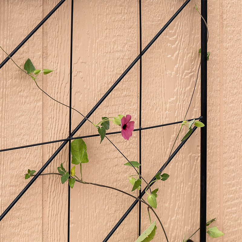 Achla Quilt Block-Diagonals Wall Trellis Panels (4 panels) | Black Wrought Iron | Garden Wall & Fence Decor | 49 x 49 in Overall, 24 in | Model FT-52Z