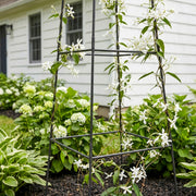 Achla Minar Pylon II 87in Wrought Iron Plant Trellis | Graphite Powdercoat | Garden Entryway & Vegetable Bed | 21.75 x 21.75 x 87 in | Model PYL-22