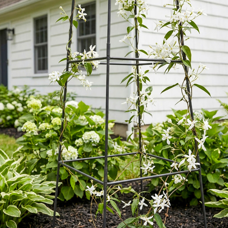 Achla Minar Pylon II 87in Wrought Iron Plant Trellis | Graphite Powdercoat | Garden Entryway & Vegetable Bed | 21 x 21 x 87 in | Model PYL-22