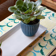 Achla Medium Cape Cod White Flower Box Tray, Pack of 2 | Galvanized Steel Planter Tray | Indoor & Outdoor Plant Drip Tray | 23 x 9 x 1 | Model TR-C-20W-2