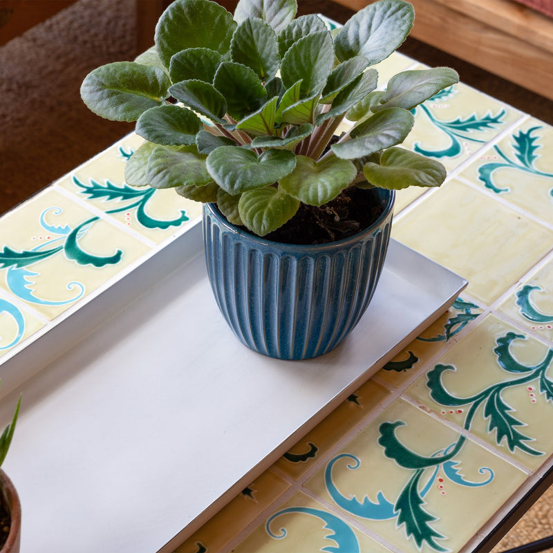 Achla Medium Cape Cod White Flower Box Tray, Pack of 2 | Galvanized Steel Planter Tray | Indoor & Outdoor Plant Drip Tray | 23 x 9 x 1 | Model TR-C-20W-2
