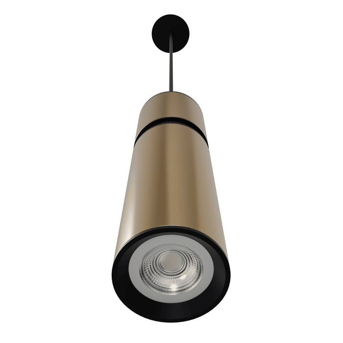 Avenue Lighting Cicada 1 Light 10" Pendant, Smooth Brass With Black