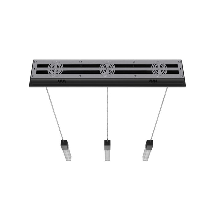 Avenue Lighting Boa 3 Light 130" Pendant/Multi Port , Black