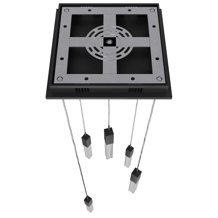 Avenue Lighting Boa 5 Light 144" Pendant/Multi Port , Black