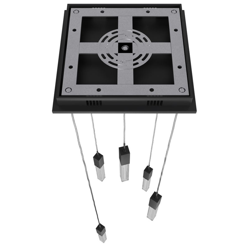 Avenue Lighting Boa 5 Light 144" Pendant/Multi Port , Black - HF1900-5-BOA-BK