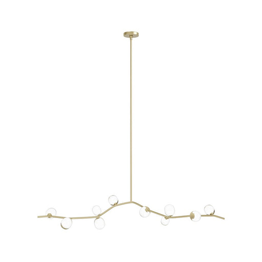 Avenue Lighting Hampton 10Lt 12" Chandelier, Brass/Clear Glass
