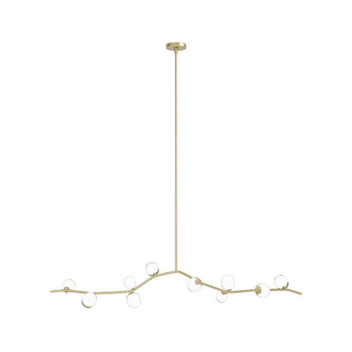 Avenue Lighting Hampton 10Lt 12" Chandelier, Brass/Clear Glass