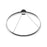 Avenue Lighting Circa LED 31" LED Ring Pendant, Black