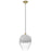 Avenue Lighting Sonoma Ave. 1 Light 173" Pendant, Brushed Brass