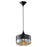 Avenue Lighting Robertson Blvd. 1 Light 10" Pendant, Black - HF9113-BK/BZ