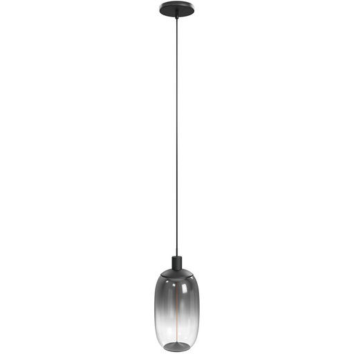 Avenue Lighting Monaco 1 Light 15" Pendant, Black+Smoky - HF9172-BK
