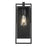 Acclaim Lighting 1 Light 13" Oudoor Wall Mount, Matte Black/Seeded