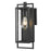 Acclaim Lighting 1 Light 13" Oudoor Wall Mount, Matte Black/Seeded