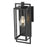 Acclaim Lighting 1 Light 13" Oudoor Wall Mount, Matte Black/Seeded