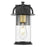 Acclaim Lighting 1Lt 17" Oudoor Wall Mount, Matt Black and Brass/Clear