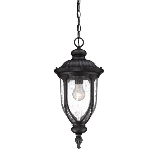 Acclaim Lighting Laurens 1 Light Hanging Light