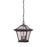 Acclaim Lighting Aiken 2 Light Hanging Light