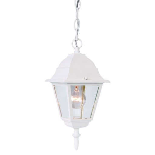 Acclaim Lighting Builder'S Choice 1 Light Hanging Light
