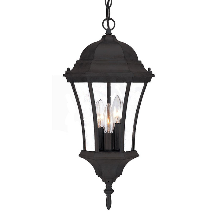 Acclaim Lighting Bryn Mawr 3 Light Hanging Light