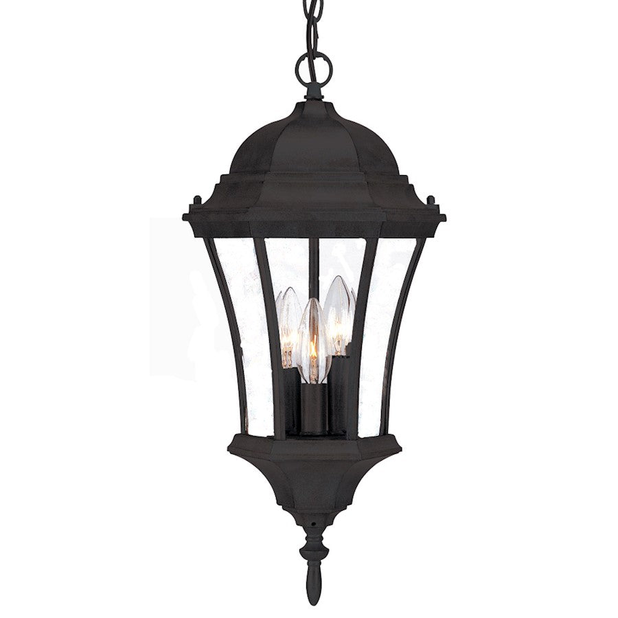 Acclaim Lighting Bryn Mawr 3 Light Hanging Light