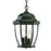 Acclaim Lighting Wexford 3 Light Hanging Light