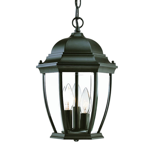 Acclaim Lighting Wexford 3 Light Hanging Light