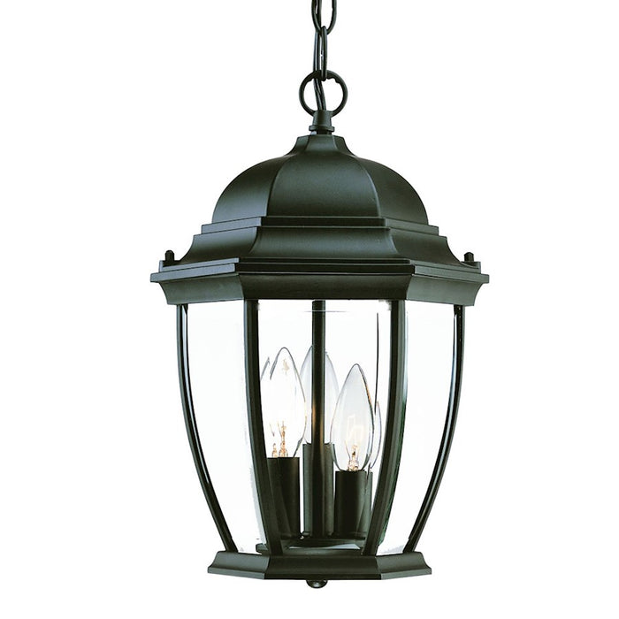 Acclaim Lighting Wexford 3 Light Hanging Light